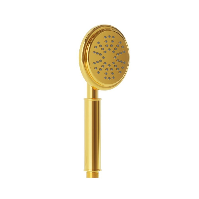Artize VIC Single Function Hand Shower In Bright Gold PVD